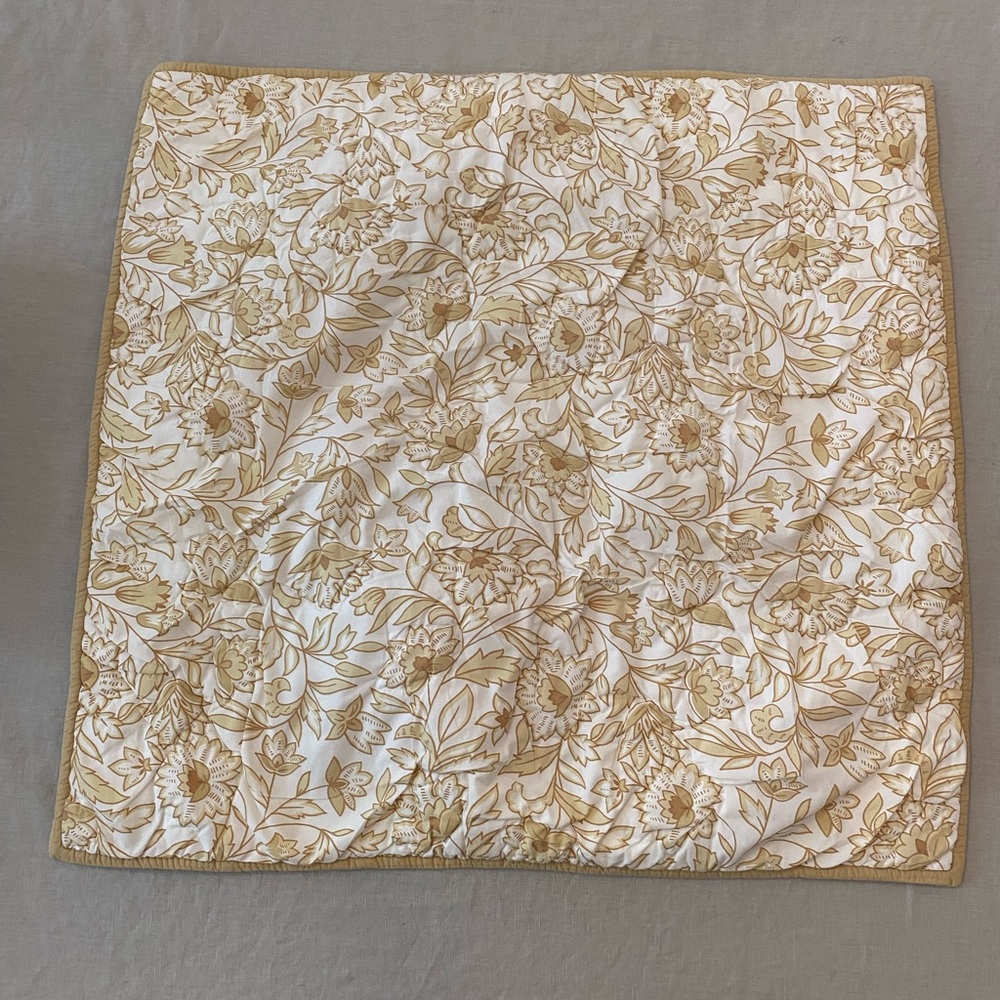 Pottery Barn Euro Shams Quilted  Pair
